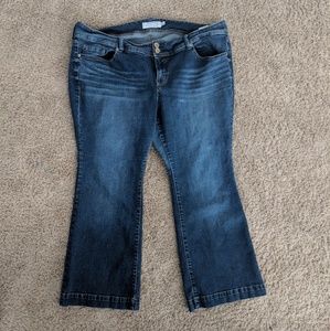 ❇️ Torrid Jeans - Plus Size - 22XS